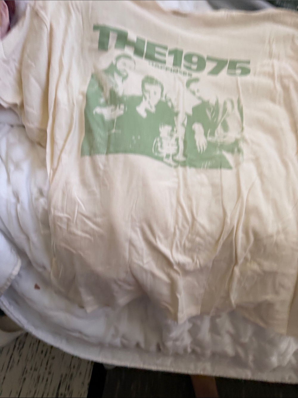 American Eagle 1975 graphic tee